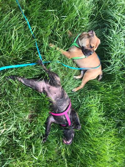 Geschwister in einem Haushalt-Beitrag-Bild