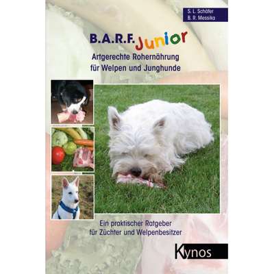 Stumpfes Fell-Beitrag-Bild