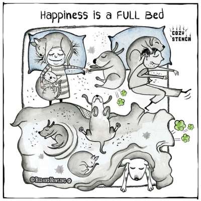 Wurfgeschwister adoptiert- wer hat dies auch? Erfahrungsaustausch-Beitrag-Bild