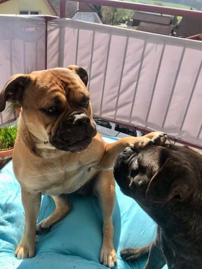 Farben Fotochallenge Sonnenlicht-Beitrag-Bild