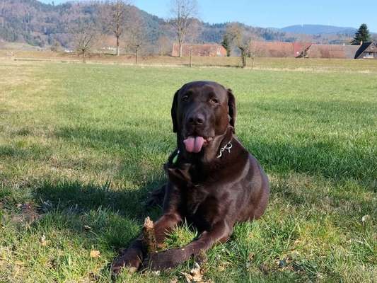 Lustige Grimassen & verrückte Posen-Beitrag-Bild