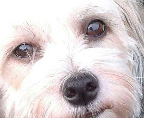 Blick fürs Detail!-Beitrag-Bild