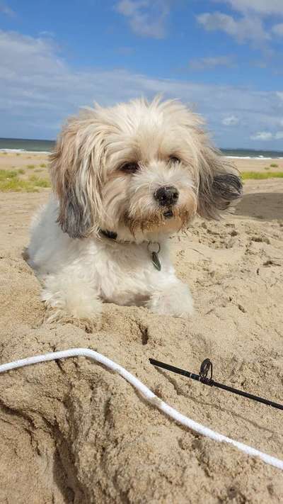 Lieblingsbild-Beitrag-Bild