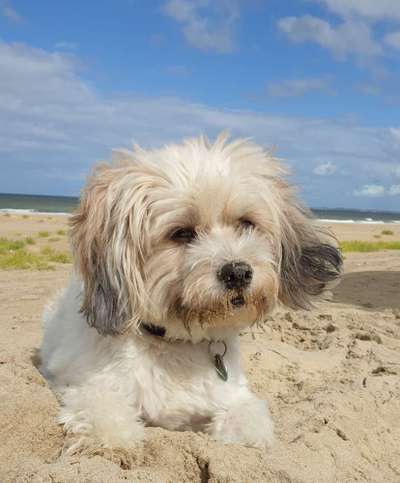 Eure Strandbilder :)-Beitrag-Bild