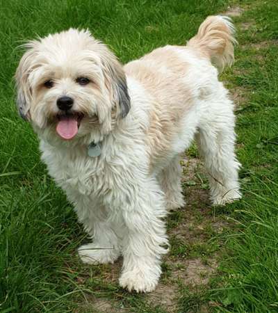 Blick fürs Detail!-Beitrag-Bild