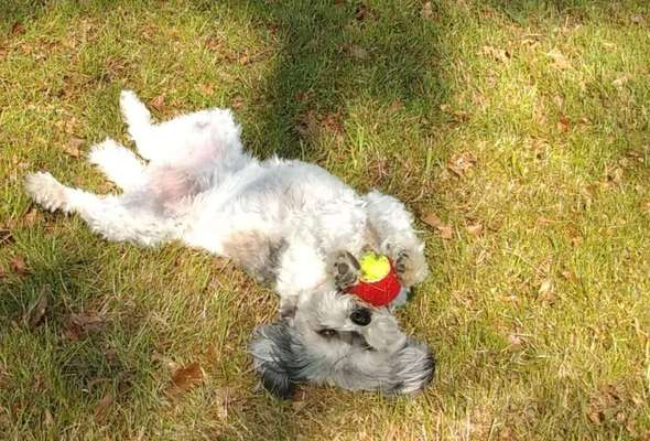 Von oben-Beitrag-Bild