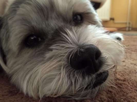 Handy-Foto Challange Nr. 10-Beitrag-Bild