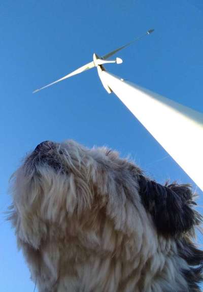 FOTOCHALLENGE 86-Beitrag-Bild