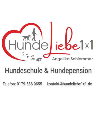 Hundeschulen-HundeLiebe1x1 -Bild