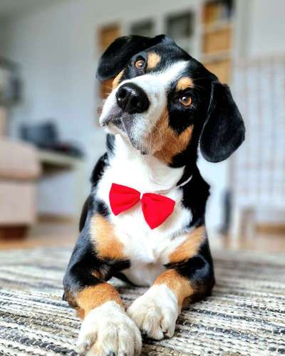 Lieblingsbild-Beitrag-Bild