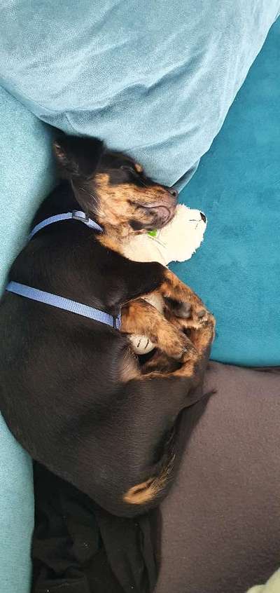 15. Handyfoto Challenge - Indoor Aktivitäten-Beitrag-Bild