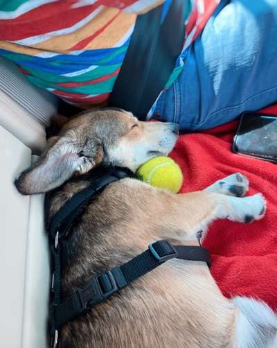 FOTO-Challenge  NR. 91: Die pure Entspannung-Beitrag-Bild