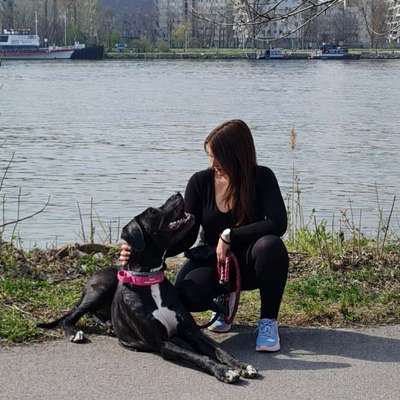 Hundetreffen-Social walk/Gassirunde:)-Bild