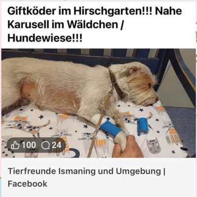 Giftköder-Giftköder-Bild