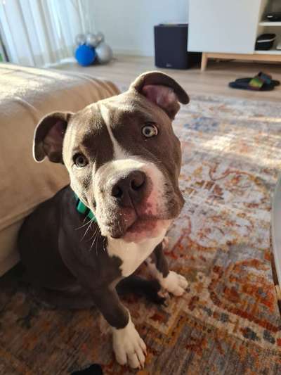 Lieblings "nervige Sprüche"-Beitrag-Bild