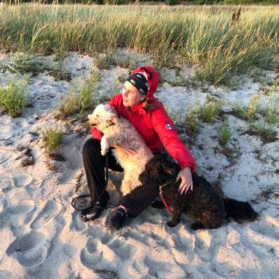 B's Profilbild