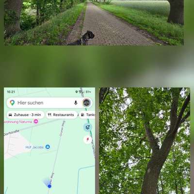 Giftköder-EPS Landwirtschaftlicher Weg Sandweg/Grüner Weg-Bild