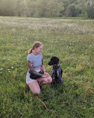 Hundetreffen-Training Hundebegegnung OHNE Kontakt-Bild