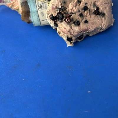 Giftköder-Giftköder-Bild