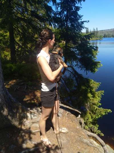 Die Dogorama Wochen Challenge: “Dein Hund im Urlaub”-Beitrag-Bild