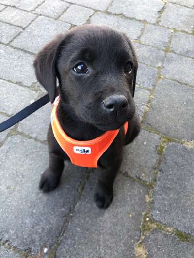 Lieblingsbild-Beitrag-Bild