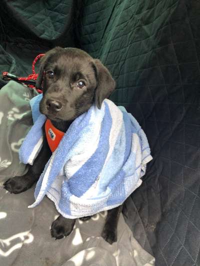 Lieblingsbild-Beitrag-Bild