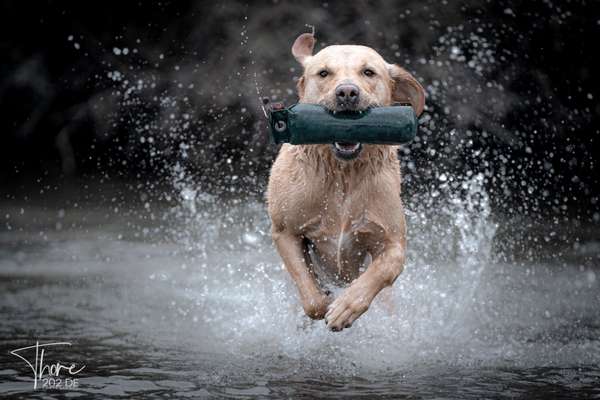 Fotochallenge Nr. 67: Euer Lieblingsbild-Beitrag-Bild