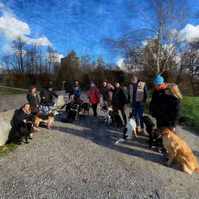 Hundetreffen-Hundetreffen jeden Dienstag um 12.00 Uhr-Bild