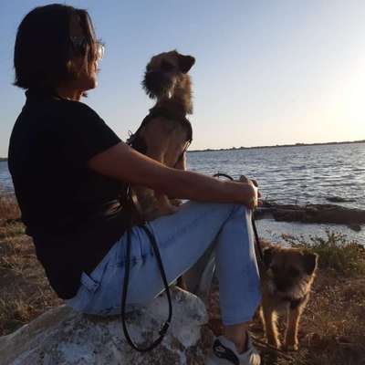 Manila's Profilbild