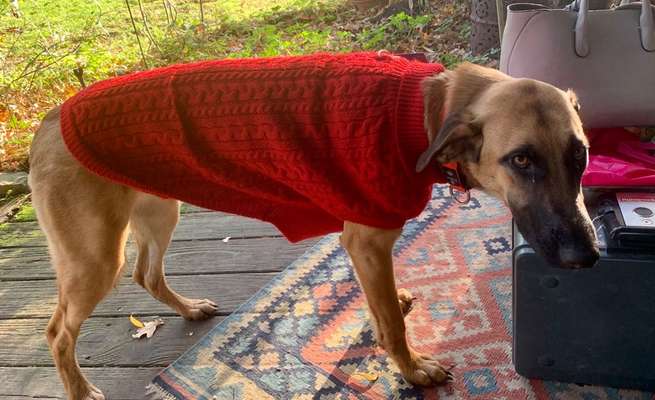 Fotochallange Nr. 6 Die irrsten Blicke-Beitrag-Bild