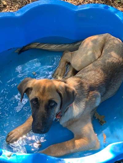 Foto Challenge - BEENDET - bitte aktuelle Challenge nutzen-Beitrag-Bild