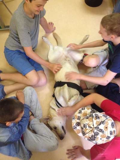 Zeigt her...-Beitrag-Bild