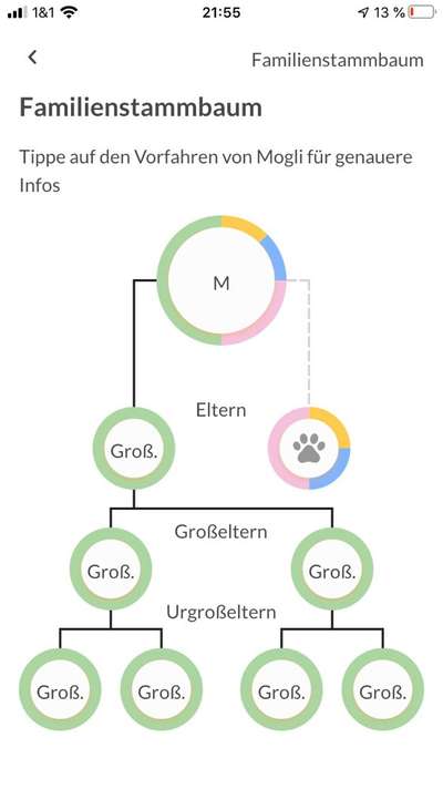 Gentest-Beitrag-Bild