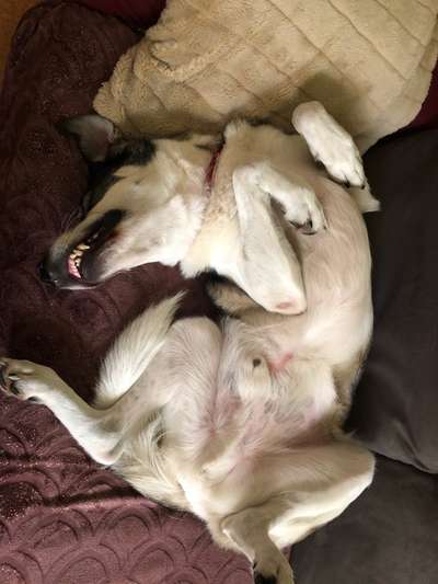 Die unbequemsten und lustigsten Schlafpositionen-Beitrag-Bild