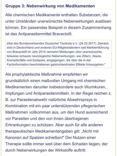 Bravecto-Beitrag-Bild