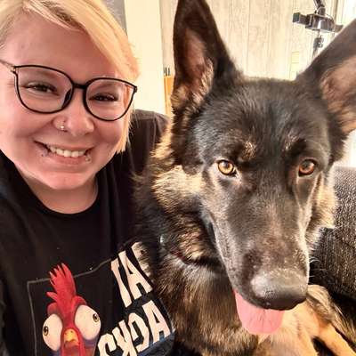 Hundetreffen-Gassi/spielen treffen 🐶☺️-Bild