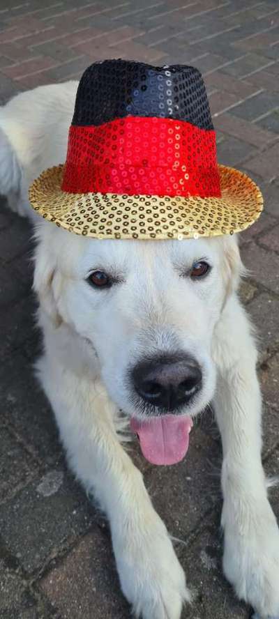 Hier ist der Spaßthread. Zum Schmunzeln und Kaputtlachen-Beitrag-Bild