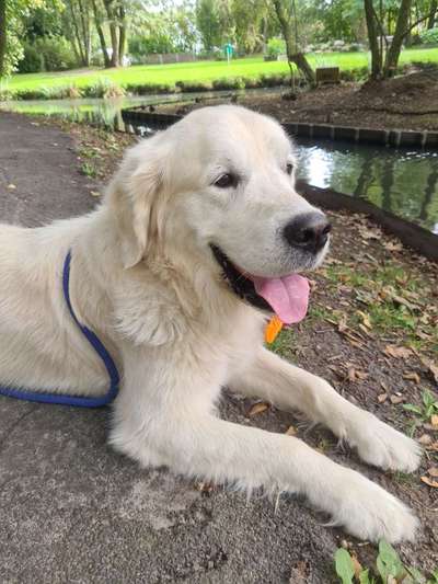 Lieblingsbild :D-Beitrag-Bild