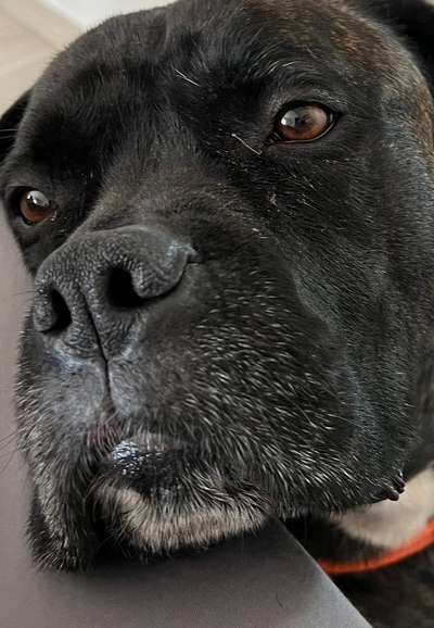 42. Handy Fotochallenge - Den richtigen Riecher haben-Beitrag-Bild