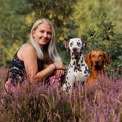 Hundetreffen-Junghunde Trefen