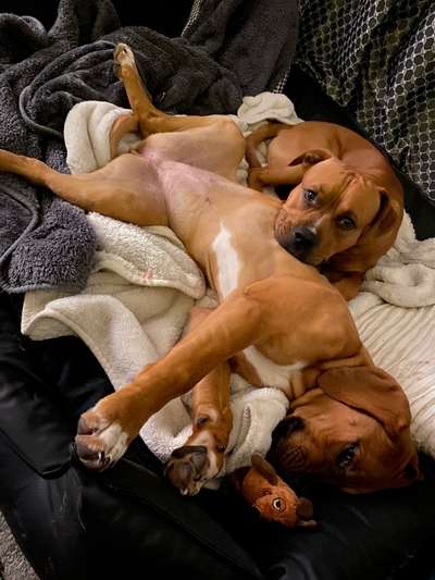 Fotochallenge Nr.65-Beitrag-Bild