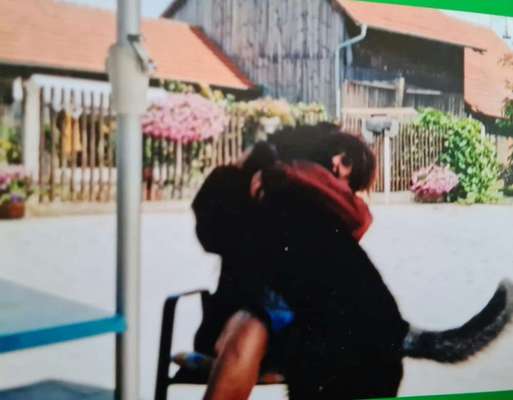 Challenge 30  Freundschaft-Beitrag-Bild