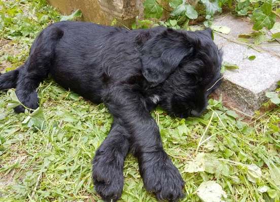 Das erste Foto-Beitrag-Bild