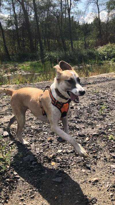 LUSTIGE FOTOS! WER KANN MITHALTEN?-Beitrag-Bild