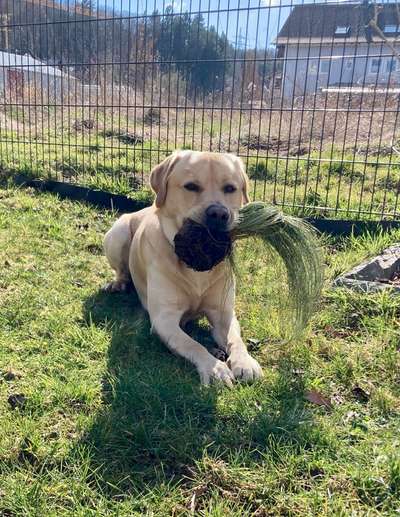 Fotochallenge 113: Auf frsicher Tat ertappt-Beitrag-Bild