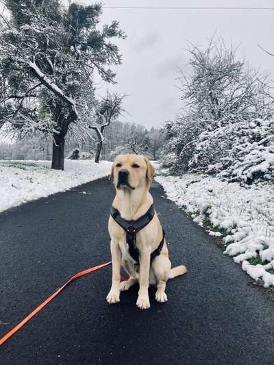 28. Handy-Fotochallenge - Damals und heute-Beitrag-Bild