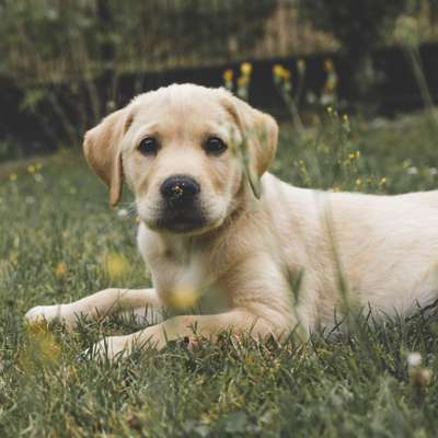 Lieblingsbild-Beitrag-Bild