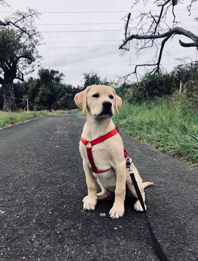 28. Handy-Fotochallenge - Damals und heute-Beitrag-Bild