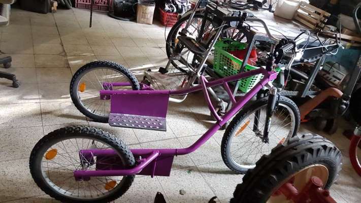 Bikejöring-Beitrag-Bild