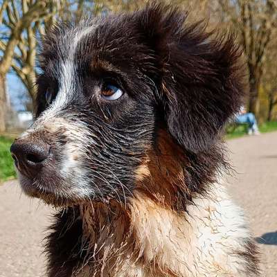uta's Profilbild